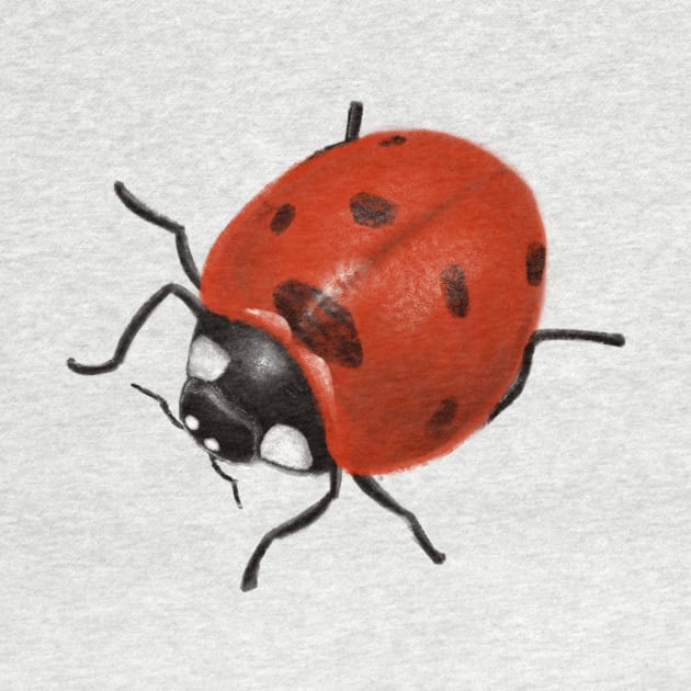 Ladybird by Funfil